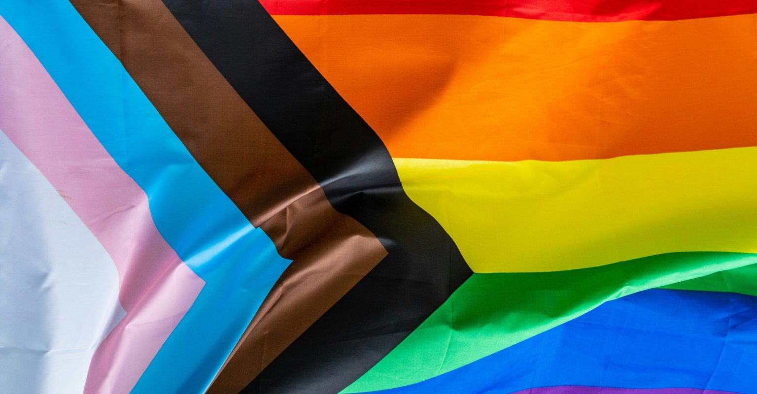 The Progress Pride Flag. It shows the traditional pride stripes, with white, pink, and light blue stripe to represent the Trans community, and black and brown stripes representing communities of colour, the black strip in particular representing the thousands of individuals that the community list during the HIV/AIDS crisis in the 1980s and 1990s.