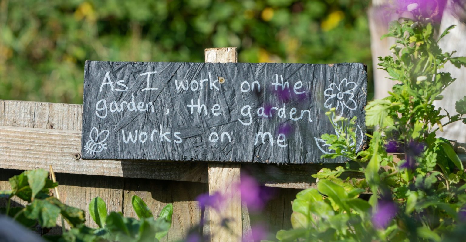 A community garden with bright purple flowers and green foliage. A slate sign has words written in chalk: As I work on the garden, the garden works on me.